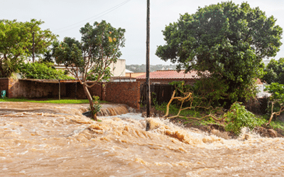 supply chain resilience