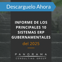 Principales 10 Sistemas ERP Gubernamentales