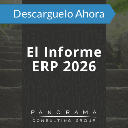 informe erp 2026