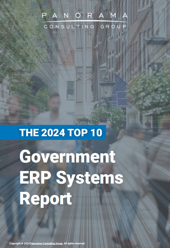 top government erp systems