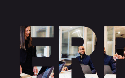 What Does an ERP Consultant Do? (Roles and Responsibilities)