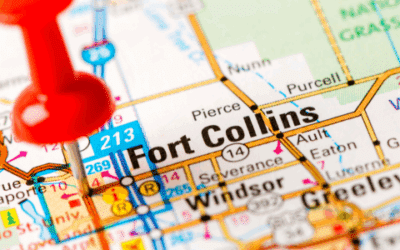 ERP Project Legal Risks