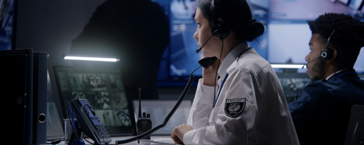 Lessons Learned From a Police Department Software Implementation