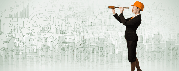 ERP Project Re-Scoping: Lessons in Risk and Recovery